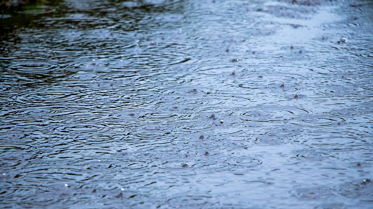 How to Prepare Your Garage Door for Tropical Storm Helene in Knoxville, TN
